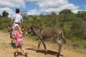 Rincones únicos de Tandilia, las más rocosas y antiguas del mundo