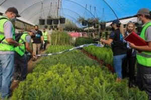 Ambiente participó junto a Policía Federal de un procedimiento