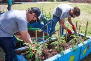 Ciudad tiene Centros de Compostaje en Palermo, Chacarita y Villa Soldati