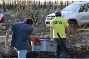 Corrientes:Ambiente continúa el rescate de fauna silvestre