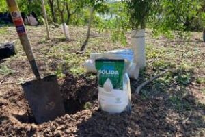 Día de la Tierra:Ciudad plantará 800 ejemplares de árboles nativos