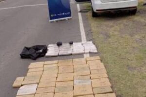 Desarticulan banda que contrabandeaba drogas