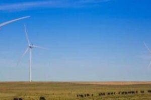 Ambiente:“La segmentación de precios tiene mucha coherencia”