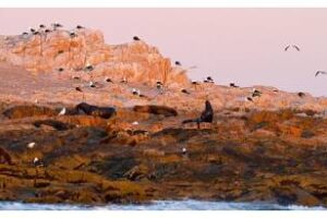 Parques Nacionales: más presupuesto y nuevas áreas protegidas