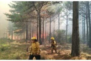 Ambiente y Misiones firmaron un convenio por el manejo del fuego