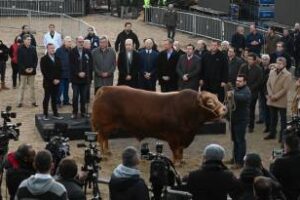Larreta participó de la apertura de la Exposición Rural 2022