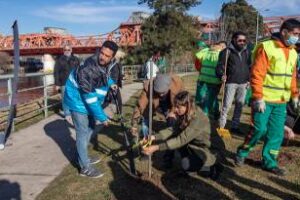 Se sumaron 10.000 ejemplares de árboles nativos durante el año