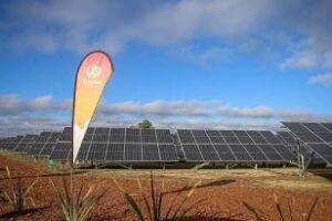 Se inauguró el parque solar de Escobar,una gran inversión