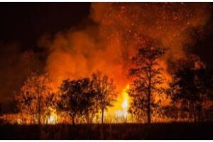 Ambiente presentó un plan de USD 50 millones para el manejo del fuego