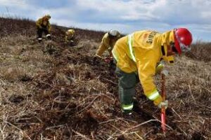 Delta del Paraná: continúa la extinción de incendios