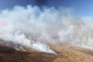 Delta del Paraná: Ambiente presentó cautelar a la Justicia