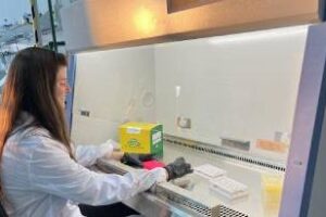 Universidad Austral:Permitirá avanzar con un importante estudio clínico