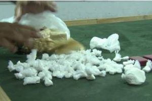 Ciudad:Constitución Desbaratan banda dominicana,vendían drogas