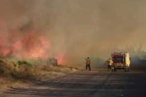 Nación compromete recursos para el combate de incendios