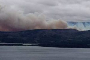 Nación aporta recursos para el combate de los incendios