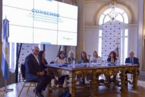 Beneplácito:Se presentó el Consenso de salud mental en la legislatura