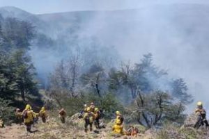 Nación: Ambiente aporta más de $ 195 millones a la provincia de Neuquén