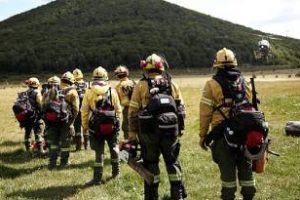 Ambiente suma más brigadistas para combatir los incendios en Tolhuin