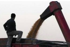 El 68% de los productores piensan que el sector estará peor