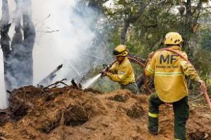 El Gobierno nacional prorrogó la emergencia ígnea en argentina