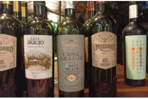 Cosecha de cepas Malbec y Pinot-Noir en el Distrito del Vino