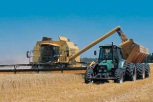 Senador Basualdo presentó un proyecto para la producción