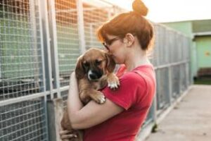 Ciudad:Formá parte de una Jornada de adopciòn de moscotas
