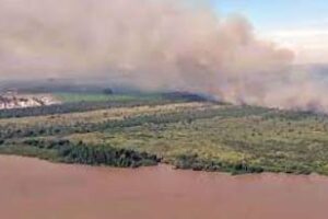 Nación reforzó el combate de un incendio en Zárate