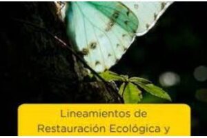 Restauración Ecológica y Ambiental para la Ciudad