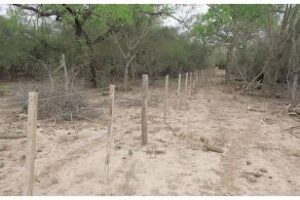 Ambiente lanzó un relevamiento de buenas prácticas