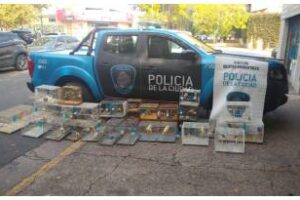 Barrio de Coghlan: Rescatan 65 aves autóctonas en cautiverio