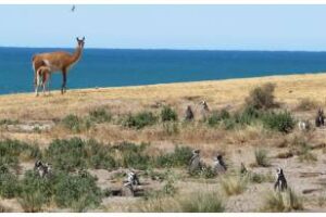 Nación invierte en infraestructura para parques nacionales