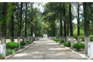 AMIA lanzó el plan “Nuevo ACI”ara los socios de la institución