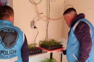 La Farmacéutica: Vendía sustancias medicinales con cannabis