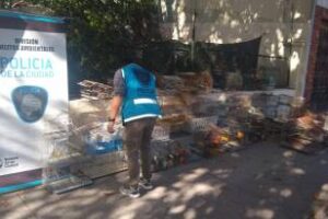 En el barrio de Liniers: Secuestran Cardenales, canarios y cotorras