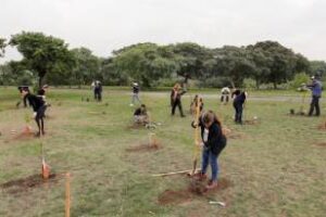 Ciudad:El primer cuerpo legislativo en medir su huella de carbon