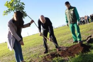 Larreta anunció la plantación,de 22 mil árboles en veredas y parques