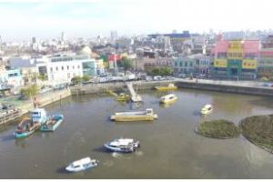 El 8 de julio se conmemora el Día de la Acción Ambiental