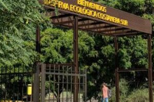 Llega ReserBA Abierta, la feria sustentable de la Ciudad