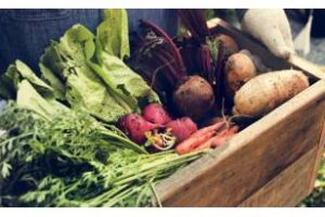 Argentina tercer país con màs superficie sembrada de productos orgánicos