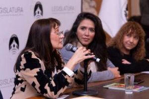 Legislatura porteña:Declarò de interés a la colección “Todos a jugar”