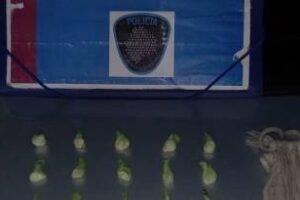 Balvanera:Sigue la inseguridad detuvieron una pareja armada