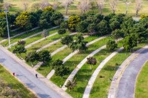 Semana del Árbol:visitas al vivero y charlas para celebrar