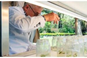 La Ciudad inauguró su primer vivero in vitro