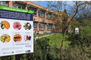 La FAUBA:Inauguró el proyecto “Conozca a los Visitantes Florales”