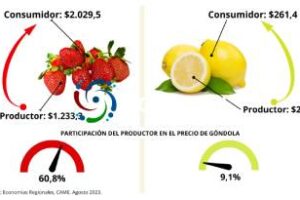 CAME:IPOD agosto por los agroalimentos, el consumidor pagó 3,5