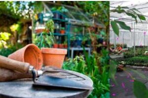 Cursos Extracurriculares de Jardinería y Floricultura