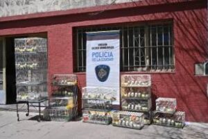 Villa Luro:Rescataron 65 aves hacinadas en un criadero ilegal