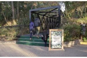 Costanera Sur:En una nueva edición de ReserBA Abierta