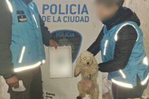 La Boca:Rescatan doce perros en estado de abandono de un domicilio